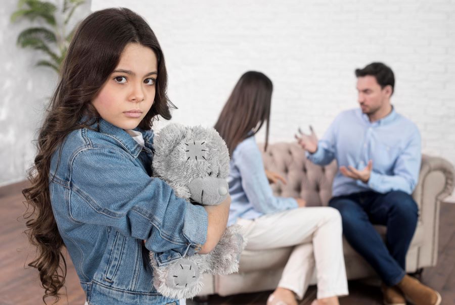 What Are The Different Types Of Child Custody Laws In India?